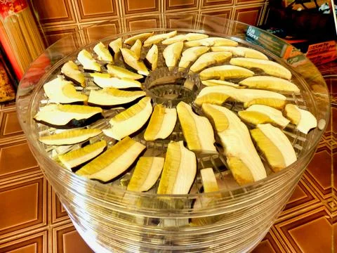 Drying Ceps Stock Photos