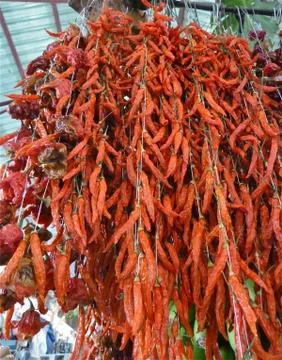Drying Chili Stock Photos