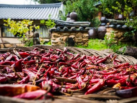 Drying of chilis in traditional method on woven basket Stock Photos