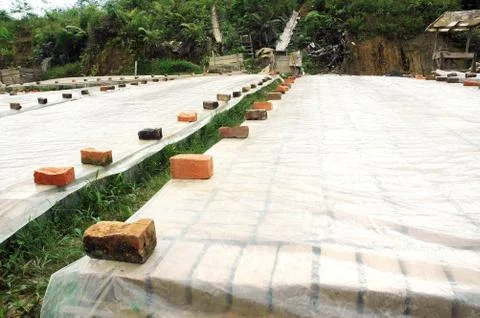 Drying clay molds in the manufacturing process of bricks Stock Photos
