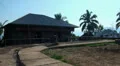 Drying Cocoa beans in a small Jungle Village HD Footage