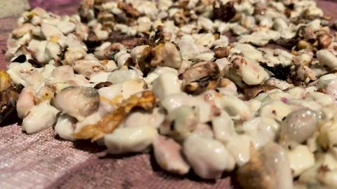 Drying cocoa fruit, or Theobroma cacao L Video stock 329497166