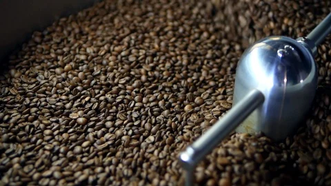 Drying coffee beans after roasting, juicy, wavy move, roaster Stock Footage 129400891