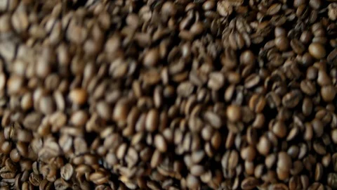 Drying coffee beans after roasting, juicy close-up, top view, roaster Stock Footage 129400958