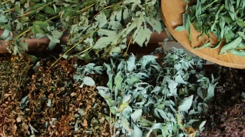 Drying collected herbs in closeup 库存影片 258848244