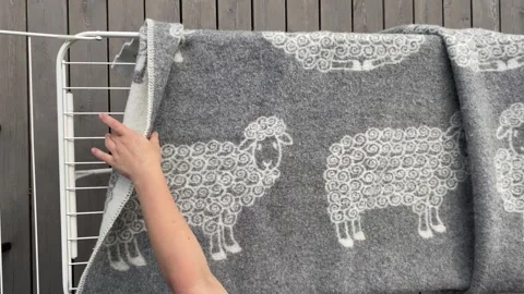 Drying cozy blanket on rack with sheep pattern Vídeos de archivo 343864575