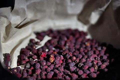 Drying cranberries. Selective focus on berries. Close up. Stock Photos