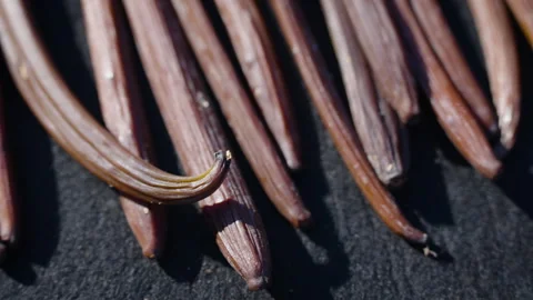 Drying fermented Vanilla beans in the sun. Traditional curing process. Stock Footage 323309076