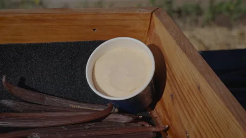 Drying fermented Vanilla beans in the sun. Traditional curing process. Stock Footage 323309778