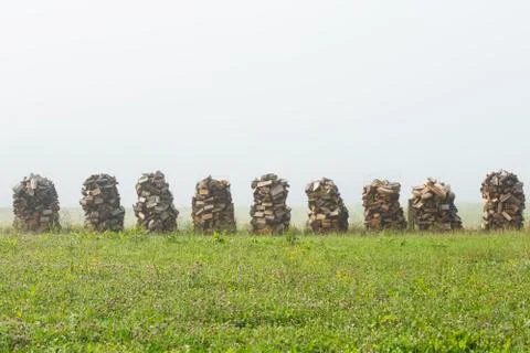 Drying firewood Stock Photos