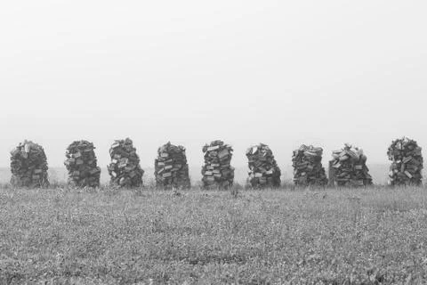 Drying firewood Stock Photos