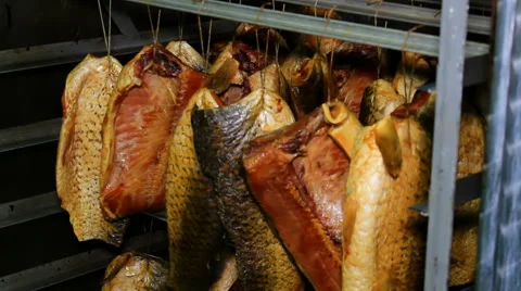 Drying fish carp Stock Footage 46142315