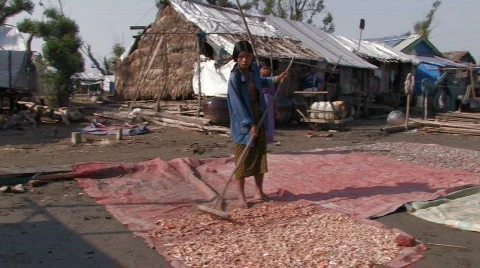 Drying Fish Stock Footage 359718