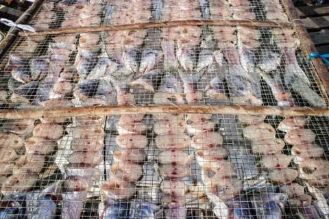 Drying fish inder the sun in China Stock Photos