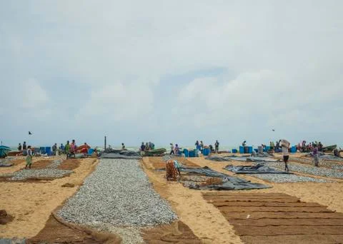 Drying fish Stock Photos