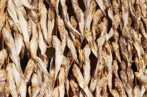Drying fish Stock Photos