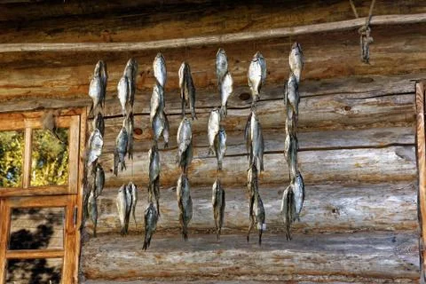 Drying fish Stock Photos