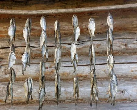 Drying fish Stock Photos