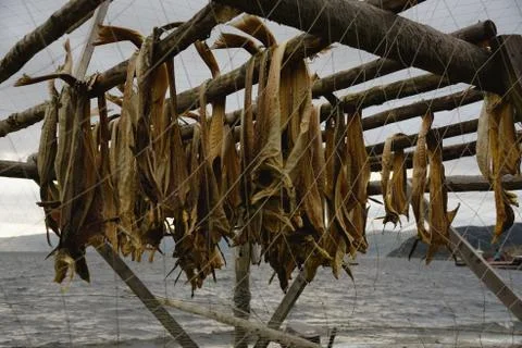 Drying fish Stock Photos