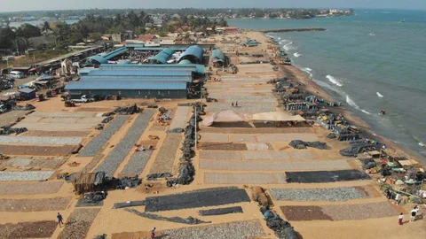 Drying fish on the sandy seashore Stock Footage 108635340