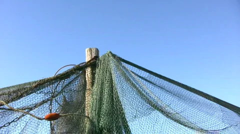 Drying fishing nets blowing in the wind on stakes Video stock 368052