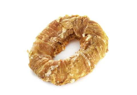 Drying gnaw in studio Stock Photos