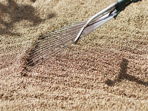 Drying the grain. Good harvest. Stock Footage 80502720