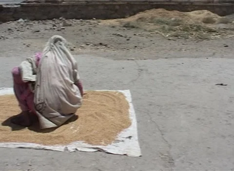 Drying grains Afganistan 2002 Stock Footage 162977590