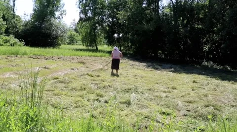 Drying the Grass Stock Footage 59079798