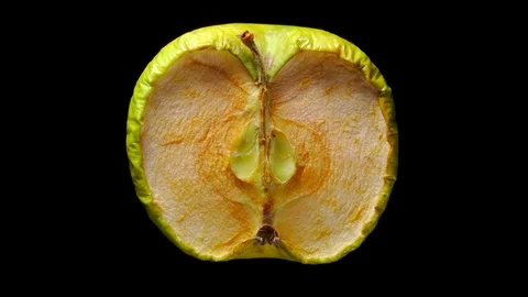 Drying green apple time lapse shot. Granny Smith fruit quickly desiccate Stock-Footage 119006440