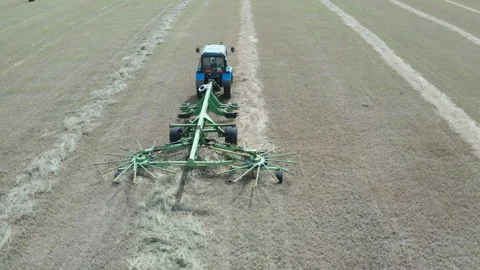 Drying hay in the field Stock Footage 196905260