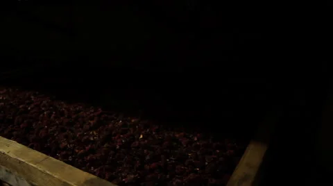 Drying herbs.  Storage of dried herbs. Stock Footage 62595200