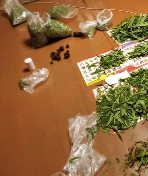 Drying Ivan tea Stock Photos