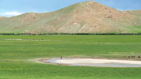 Drying lake in Mongolia becomes a final water source - Open Plain and Dry Basin Stock Footage 340608463