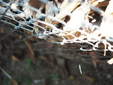 Drying leafe in strong sun light in side steel net Stock Photos