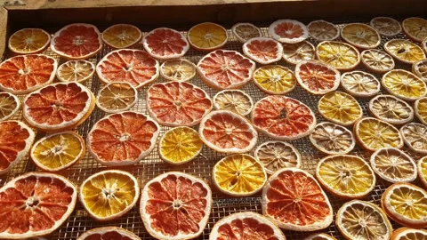 Drying lemons, oranges and grapefruits in a solar dryer. Dried fruit production Stock Footage 158235769