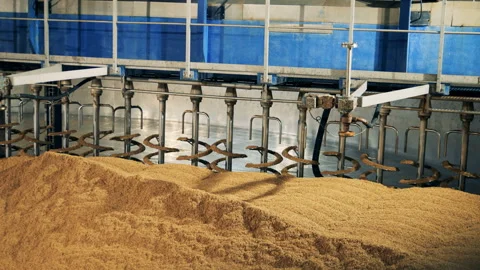 Drying machine works with seeds, close up. Malt processing equipment at malt 動画素材 101973465