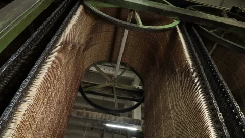 Drying matches after applying the incendiary mixture Video stock 132631657