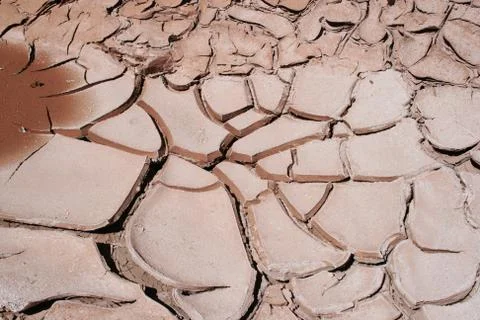 Drying mud cracks Stock Photos