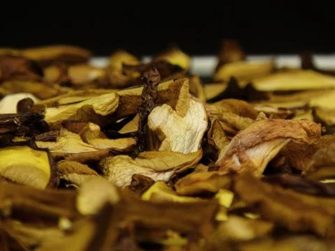 Drying mushrooms Foto stock