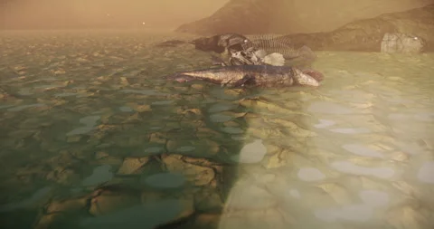 Drying up ocean with extinct fish Видео 245210261