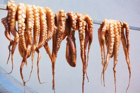 Drying octopus in the sun Stock Photos