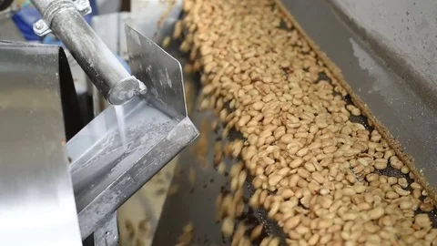 Drying peanuts after frying Stock Footage 74146587