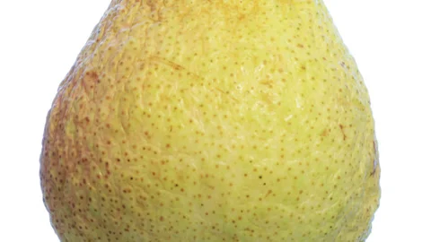 Drying pear fruit dehydration process, time-lapse metaphor for skin aging Vídeo Stock 345976321