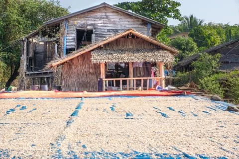 The drying place for the fish Foto stock