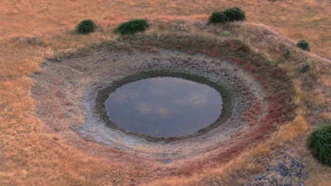 Drying pond in dehesa during extreme summer drought, Salamanca, Spain Stock Footage 341887708