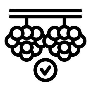 Drying process of grapes hanging on steel rod for wine production Illustrazione stock