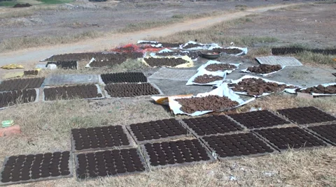 Drying of the products of ayurveda Stock Footage 68663550