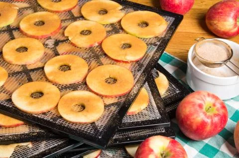 Drying rack of apple slices Stock Photos