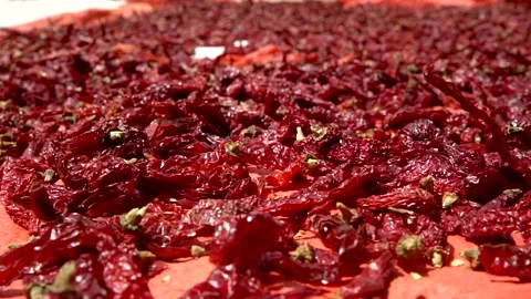 Drying red hot chillies in indian village india Stock Footage 239739458
